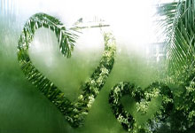 中国男足对阵新西兰男足的直播哪里看？比赛有哪些看点？